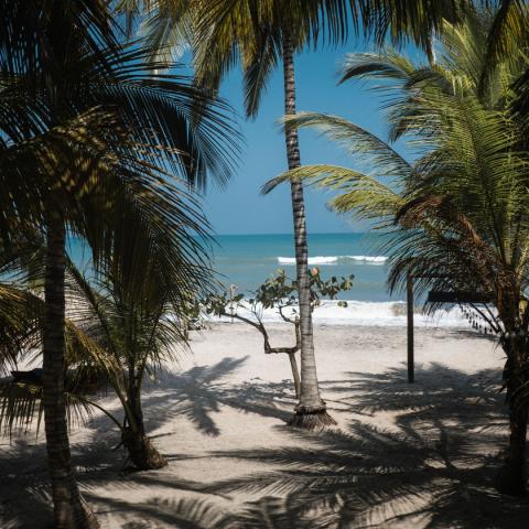 Playa y Mar